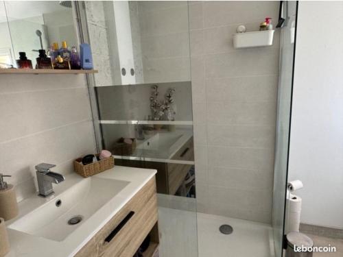 une salle de bain avec un lavabo et une douche en verre dans l'établissement Chez Jojo, à Saint-Dizier