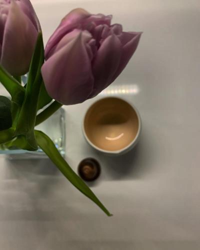 a vase with a purple tulip and a cup of coffee at Aelin Living in Agrinion