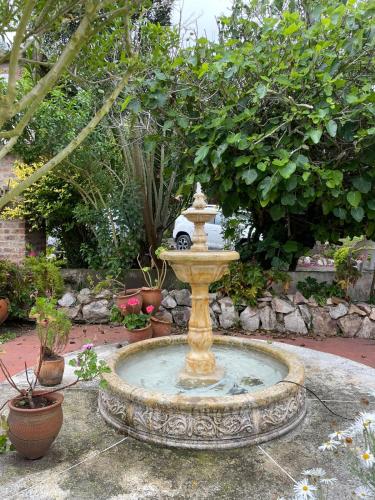 a fountain in the middle of a garden at Hostal Santa Isabel in Iza