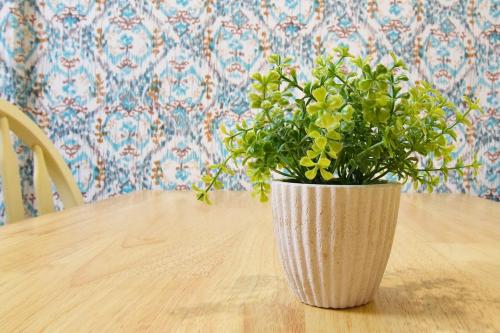 a plant in a vase sitting on a table at Hostel In Kyoto Gion - Vacation STAY 13917v in Gionmachi