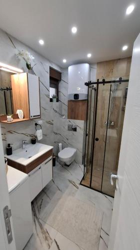 um banheiro com chuveiro, pia e vaso sanitário em Divcibarski Izvor Apartman 12 em Divčibare