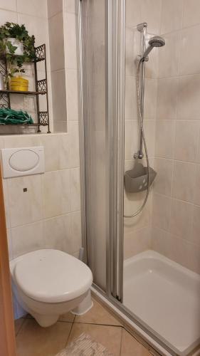 e bagno con doccia, servizi igienici e doccia. di Ferienwohnung Gerda Riederer a Neualbenreuth