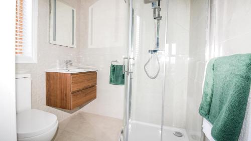 Cresent Townhouse في غالواي: حمام مع دش ومرحاض ومغسلة
