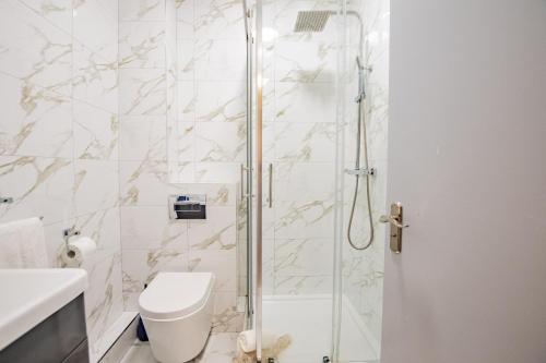 a bathroom with a shower with a toilet and a sink at Radharc na mBáid in Galway