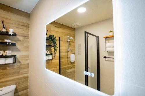 a bathroom with a shower and a toilet at Seanáras Beag in Galway