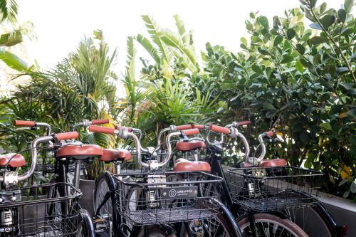 a row of bikes parked in front of plants at The March Hotel in Miami Beach