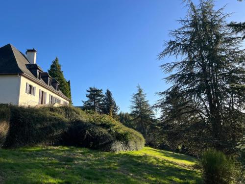 Příroda nedaleko vily