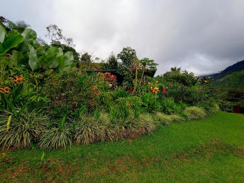 Κήπος έξω από το Aloha Chirripo Lodge