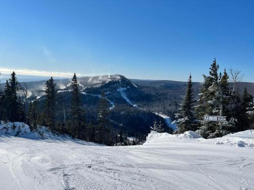 a snow covered slope with a mountain in the background at Ski in Ski out Cozy Studio Condo, Pool, Hot Tub, Views of Moose Mtn in Lutsen