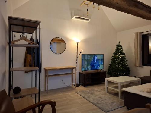a living room with a christmas tree and a television at - La Maison Authentique - 200 m du centre ville et proche d'Orléans in Jargeau