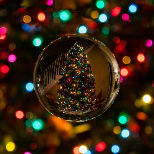 a christmas tree reflection in a glass ball at Wine House in Capannori