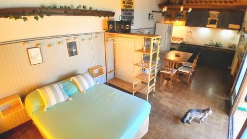 a cat standing in a room with a bed and a kitchen at Quincholoftmdq monoambiente con cochera in Mar del Plata