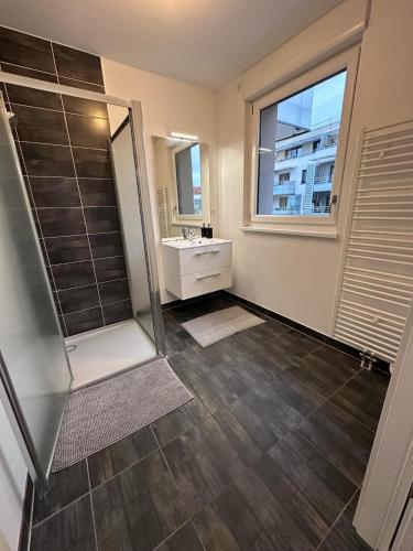 une salle de bain avec une douche et un lavabo et une fenêtre dans l'établissement Grande terrasse parking privé, à Strasbourg