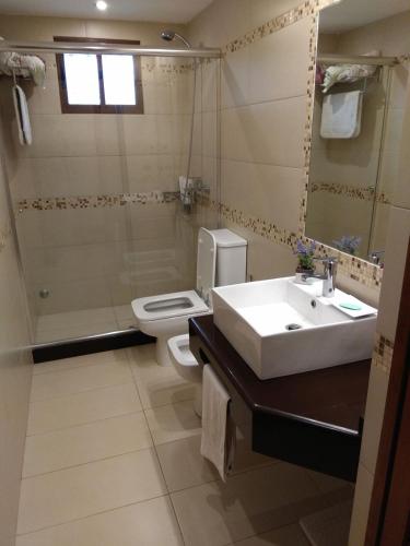 a bathroom with a sink and a toilet and a mirror at Chalet ALTOS DEL PINAR in Punta del Este