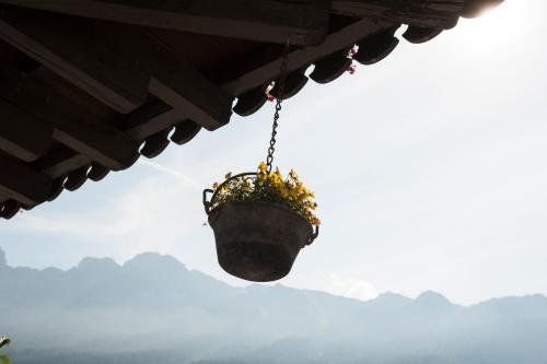 a flower pot hanging from a house with mountains in the background at Garnì Aurora Bed and Breakfast in Soraga