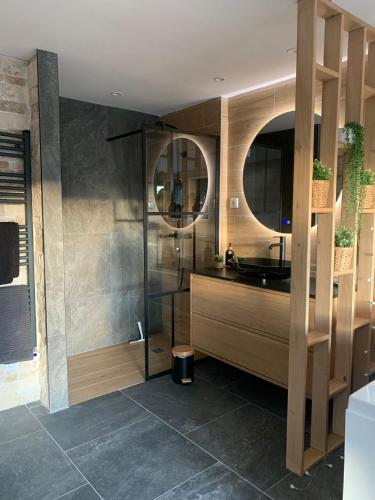 une salle de bain avec une douche avec un lavabo et un miroir dans l'établissement L'Eden, à Gréolières