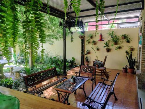 Κήπος έξω από το SOLES Hostel Boutique