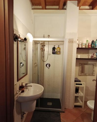 a bathroom with a sink and a shower at B&b del bosco e del lago Elimar in Lecco