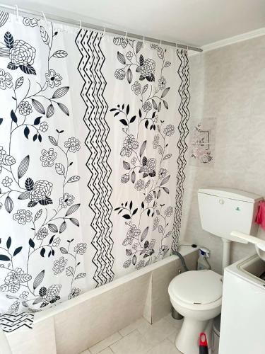 a bathroom with a toilet and a shower curtain at Ioanna's traditional apartment in Elia Laconias