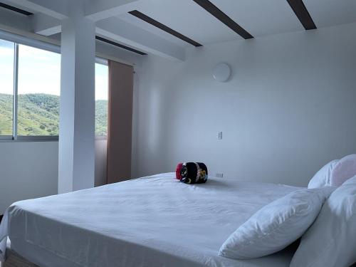 Postel nebo postele na pokoji v ubytování Paraíso Serendipia