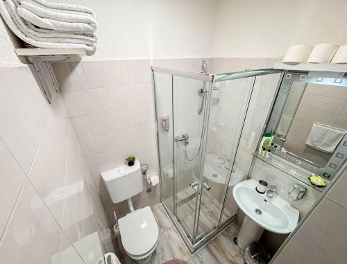 a bathroom with a shower and a toilet and a sink at Apartments Seyda in Sarajevo