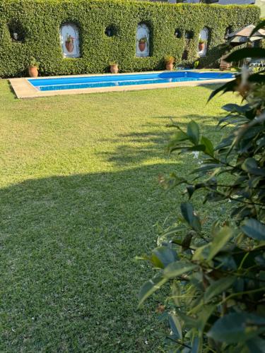 a yard with a swimming pool with grass and bushes at LPR Express EZE Airport in Monte Grande