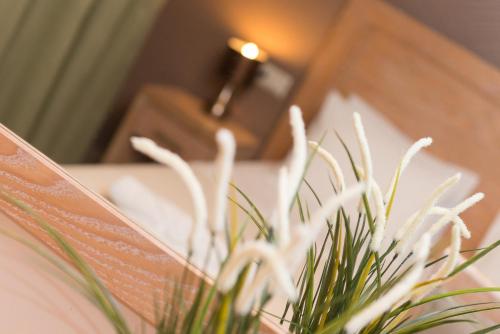 Gallery image of Mary's Residence Suites in Chrysi Ammoudia