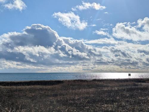 a beach with a cloudy sky and the ocean at 海辺の宿錦 a in Tomakomai