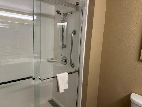 a shower with a glass door in a bathroom at Wingate by Wyndham Harrisburg Near Hershey in Harrisburg