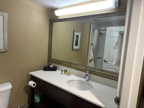 a bathroom with a sink and a large mirror at Wingate by Wyndham Harrisburg Near Hershey in Harrisburg