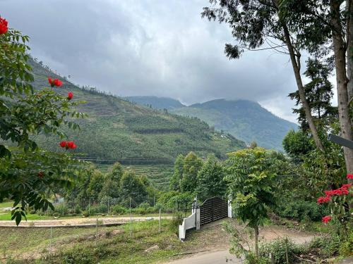 a winding road with a view of a mountain at Mountain Breeze Resort Vattavada in Munnar