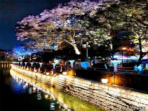 a wall with lights on a river at night at Annie 2704-only 260 metres from Metro Line 2 Exit C of BeiChun in Kunming