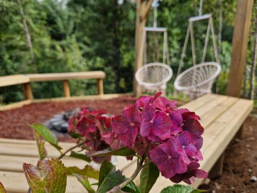 a purple flower in front of a wooden bench at Ecos del Manantial in Villarrica