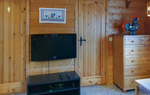 サレンにあるPet Friendly Home In Sälen With Saunaの木製の壁にテレビ付きのリビングルーム