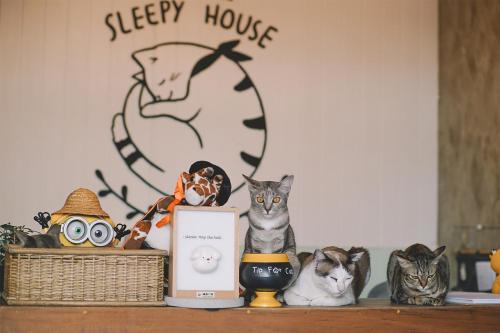 宿泊客と一緒にSleepy House Chiang Raiに滞在中のペット