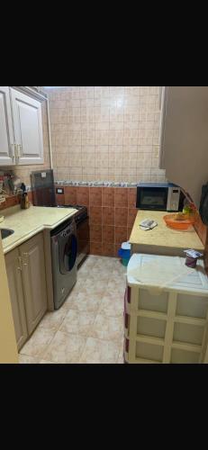 Nice luxurious stay modern 2 bedroom flat with 3ACs, 3 Flat screen TVs, Free Wi-Fi large balcony in the heart of Alexandriaにあるキッチンまたは簡易キッチン