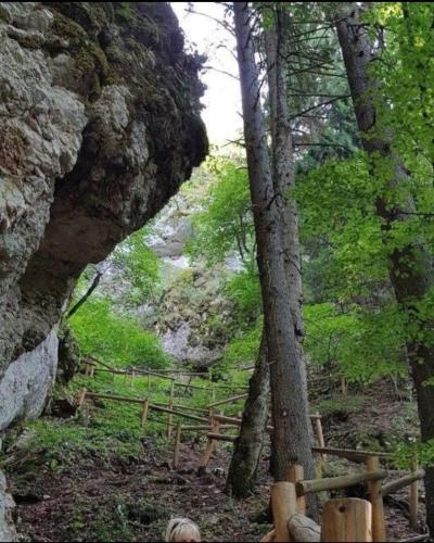 a forest with a fence and trees and a rock at Bazen in Sarajevo