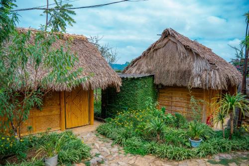 a small hut with a thatched roof and plants at SAKURA House - Vườn Đào in Mộc Châu