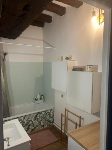 une cuisine avec un évier et un réfrigérateur blanc dans l'établissement Orléans Le charme de l'ancien en hyper centre, à Orléans