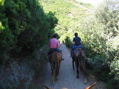 two people riding on horses down a trail at B&B Annalu' in Guspini