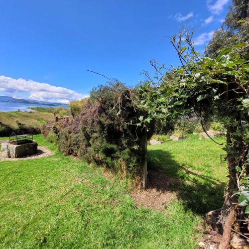 a path through a field with a hedge at NATURALEZA Y VIDA in Aquitania