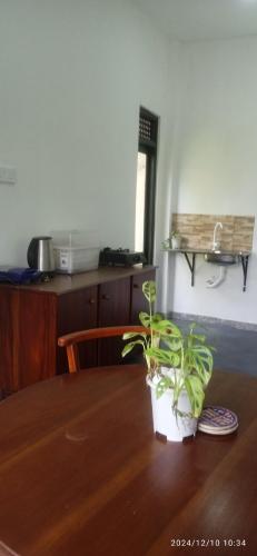 Η κουζίνα ή μικρή κουζίνα στο Sureka home stay