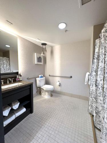 a bathroom with a toilet and a sink at Updated Pet Friendly Monache Studio with Views! in Mammoth Lakes