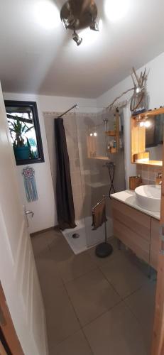une salle de bain avec douche et lavabo dans l'établissement Entre Mer & Montagne !, à Levens