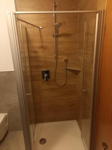 een douche met een glazen deur in een badkamer bij Achtalgarten in Pfronten
