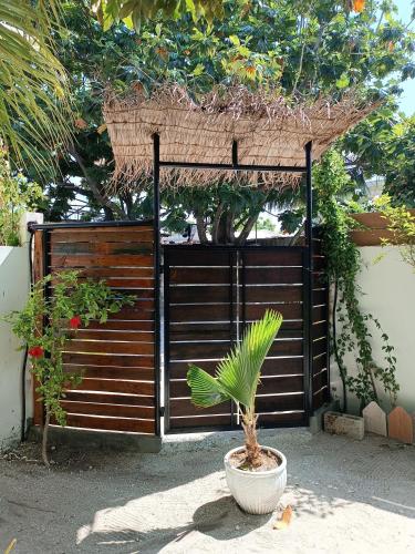 a plant in a pot in front of a wooden fence at Manta Sky Inn in Dharavandhoo