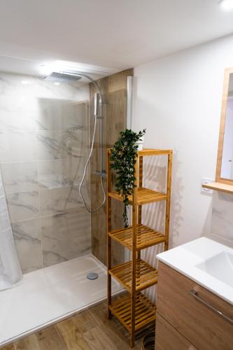 La salle de bains est pourvue d'une douche avec une plante sur une étagère en bois. dans l'établissement Grand loft familial 4 chambres avec parking privé, à Saumur