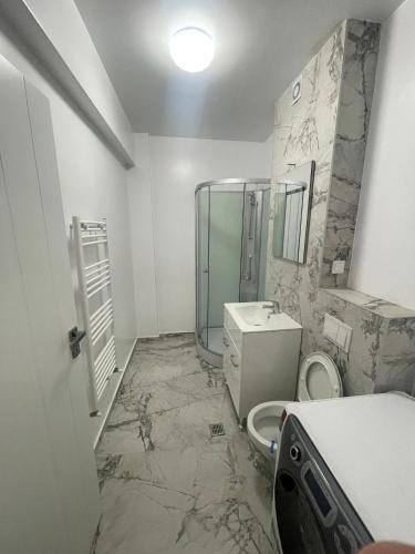Un baño con lavabo, inodoro y espejo. en DeDe Apart, en Şelimbăr