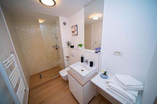 a bathroom with a sink and a toilet and a shower at FRIENDS RESIDENCE Apartments in Timişoara