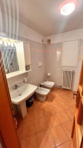 a bathroom with a sink and a toilet at Trentino Apartments - Casa Elena in Folgaria